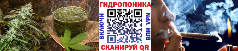 KRAKEN   Калининск  darknet Telegram  Canna-Cookies конопля 