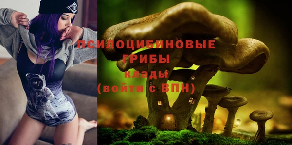 сатива Алексеевка